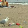 Brighton Beachgoers Litter Instead Of Walking To Trash Can